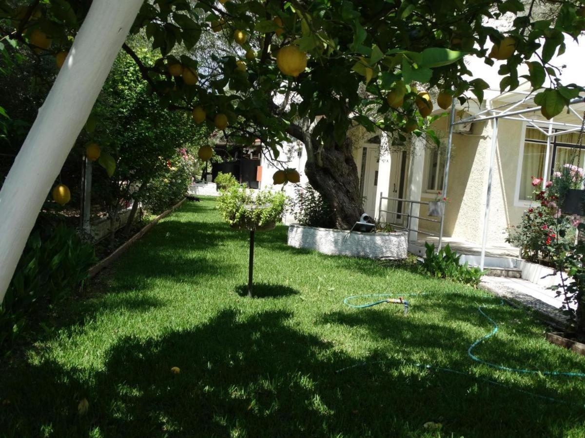 Margarita Apartments Nikiana Zewnętrze zdjęcie